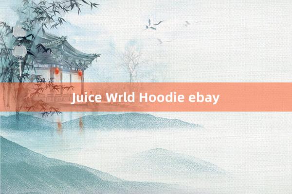 Juice Wrld Hoodie ebay