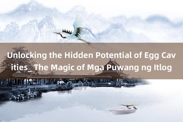 Unlocking the Hidden Potential of Egg Cavities_ The Magic of Mga Puwang ng Itlog