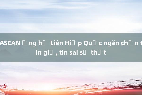 ASEAN ủng hộ Liên Hiệp Quốc ngăn chặn tin giả， tin sai sự thật