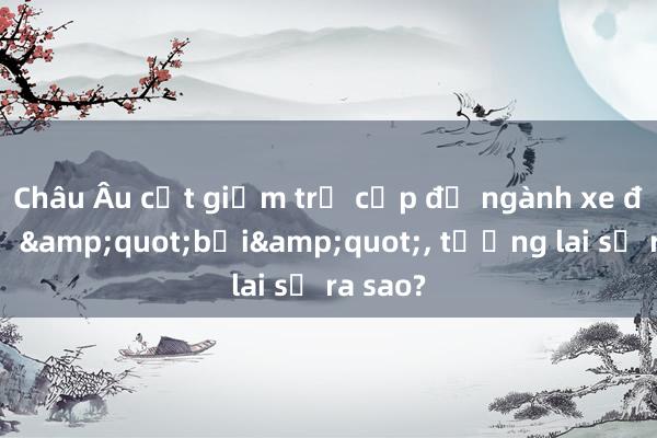 Châu Âu cắt giảm trợ cấp để ngành xe điện tự &quot;bơi&quot;， tương lai sẽ ra sao?