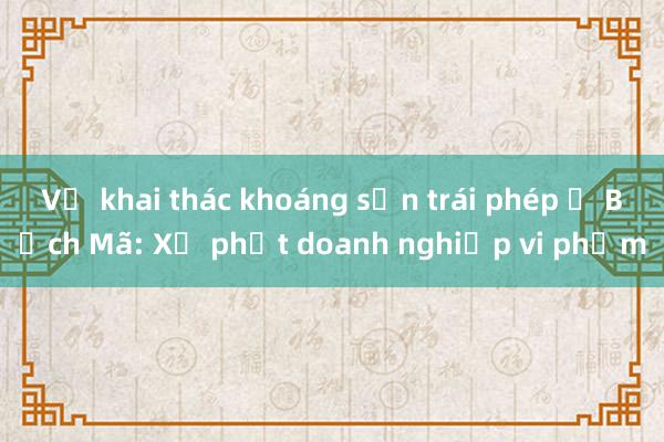 Vụ khai thác khoáng sản trái phép ở Bạch Mã: Xử phạt doanh nghiệp vi phạm