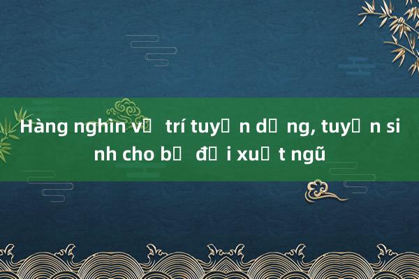 Hàng nghìn vị trí tuyển dụng， tuyển sinh cho bộ đội xuất ngũ