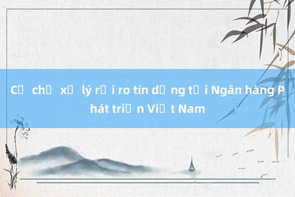 Cơ chế xử lý rủi ro tín dụng tại Ngân hàng Phát triển Việt Nam